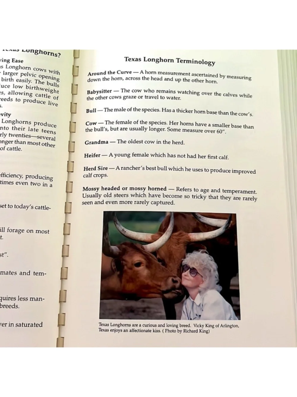 Texas Longhorn Cookbook and Campfire Tales texas longhorn
